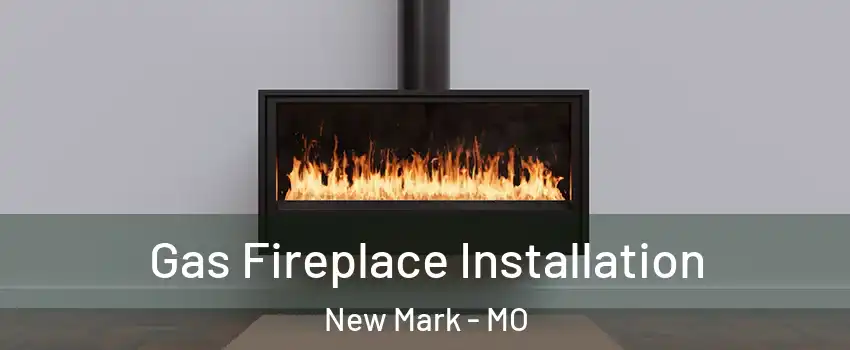 Gas Fireplace Installation New Mark - MO