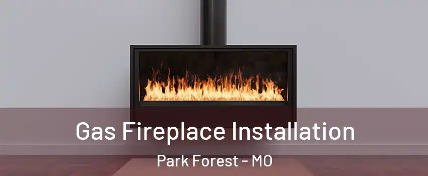 Gas Fireplace Installation Park Forest - MO