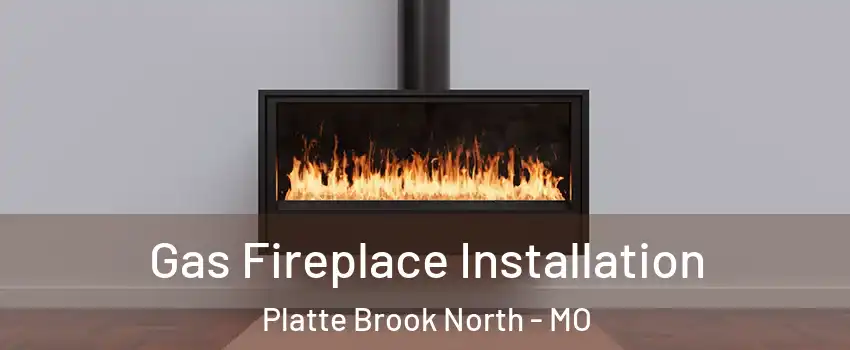 Gas Fireplace Installation Platte Brook North - MO