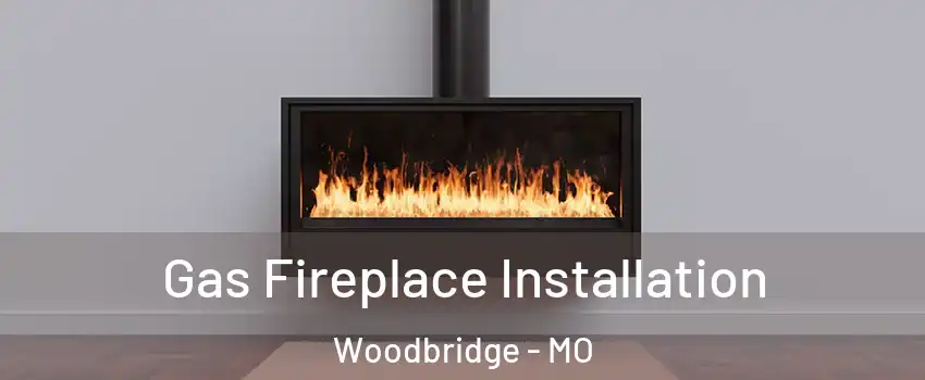 Gas Fireplace Installation Woodbridge - MO