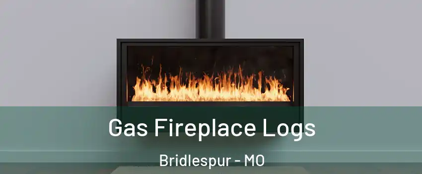 Gas Fireplace Logs Bridlespur - MO