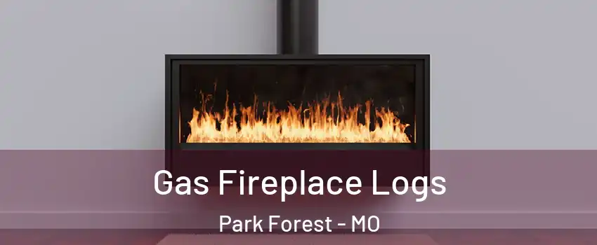 Gas Fireplace Logs Park Forest - MO