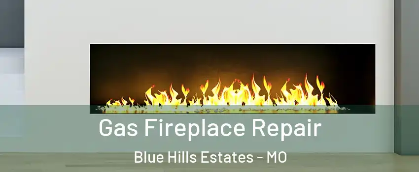 Gas Fireplace Repair Blue Hills Estates - MO