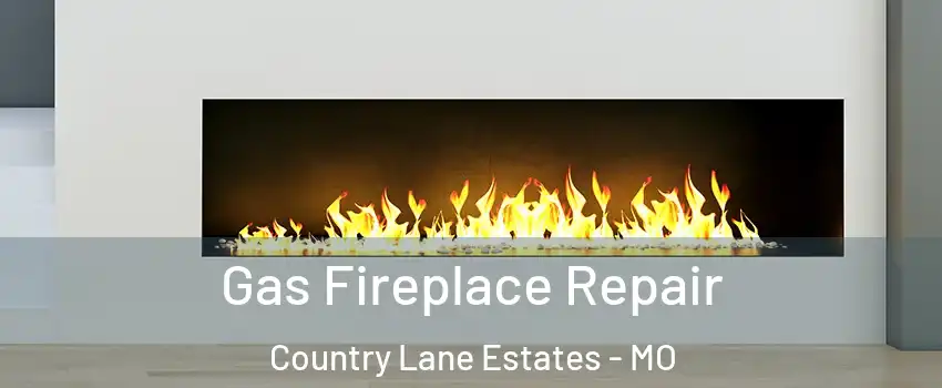 Gas Fireplace Repair Country Lane Estates - MO