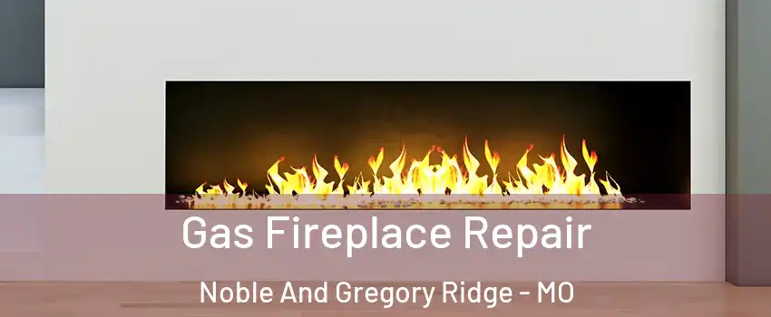 Gas Fireplace Repair Noble And Gregory Ridge - MO