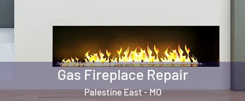 Gas Fireplace Repair Palestine East - MO