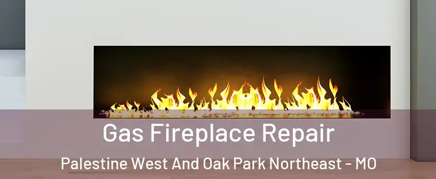 Gas Fireplace Repair Palestine West And Oak Park Northeast - MO