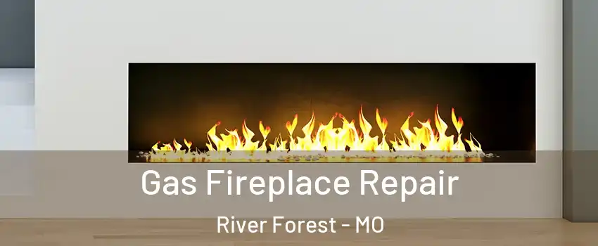 Gas Fireplace Repair River Forest - MO