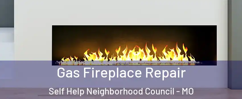 Gas Fireplace Repair Self Help Neighborhood Council - MO
