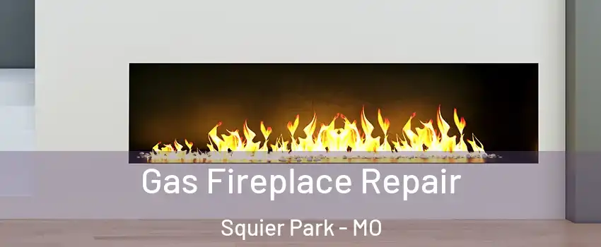 Gas Fireplace Repair Squier Park - MO