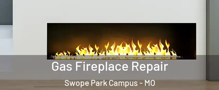 Gas Fireplace Repair Swope Park Campus - MO