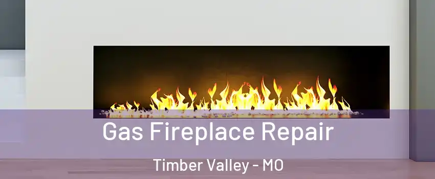 Gas Fireplace Repair Timber Valley - MO