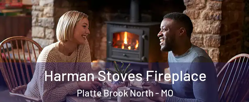 Harman Stoves Fireplace Platte Brook North - MO
