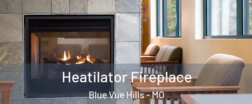 Heatilator Fireplace Blue Vue Hills - MO