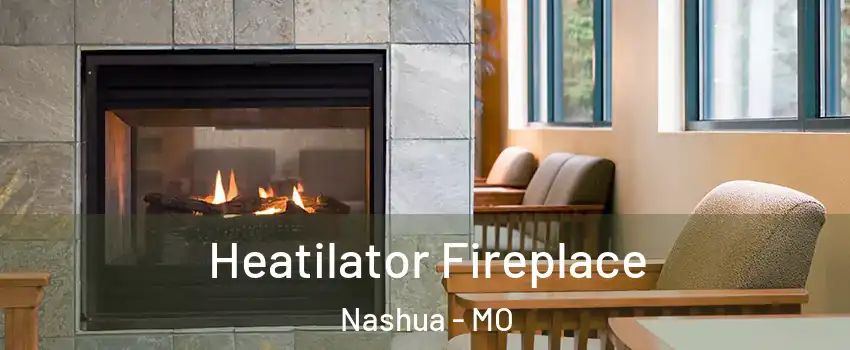 Heatilator Fireplace Nashua - MO