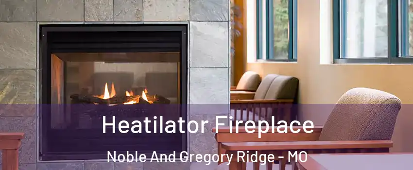 Heatilator Fireplace Noble And Gregory Ridge - MO