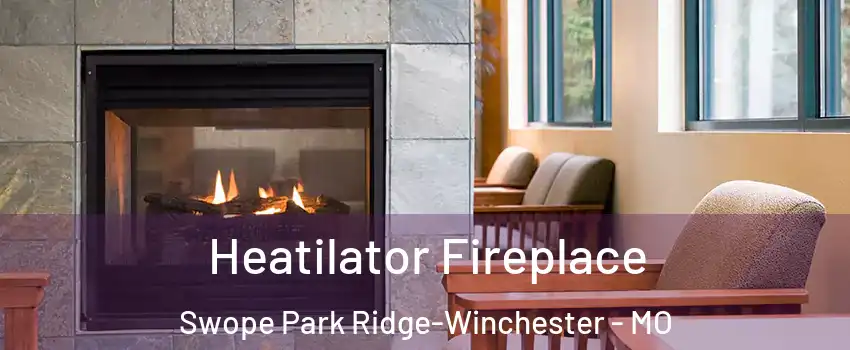 Heatilator Fireplace Swope Park Ridge-Winchester - MO