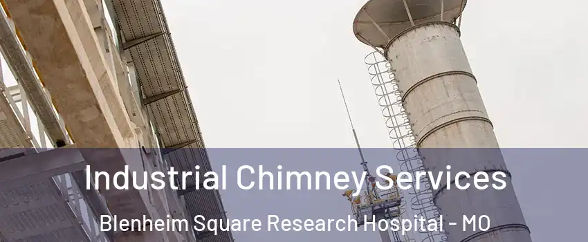 Industrial Chimney Services Blenheim Square Research Hospital - MO