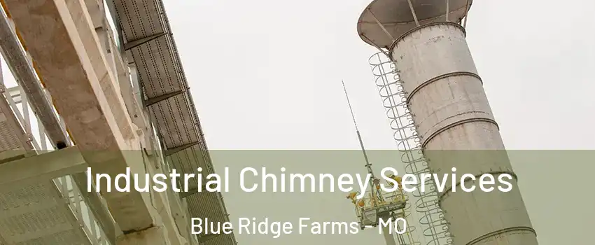 Industrial Chimney Services Blue Ridge Farms - MO