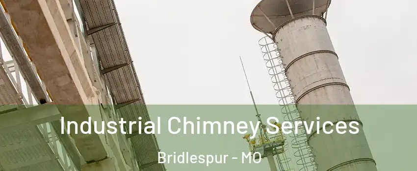 Industrial Chimney Services Bridlespur - MO