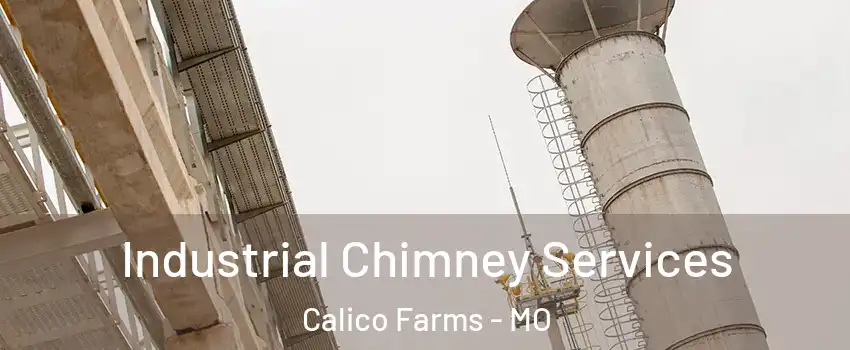 Industrial Chimney Services Calico Farms - MO