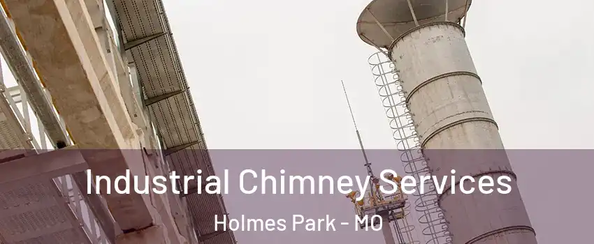 Industrial Chimney Services Holmes Park - MO