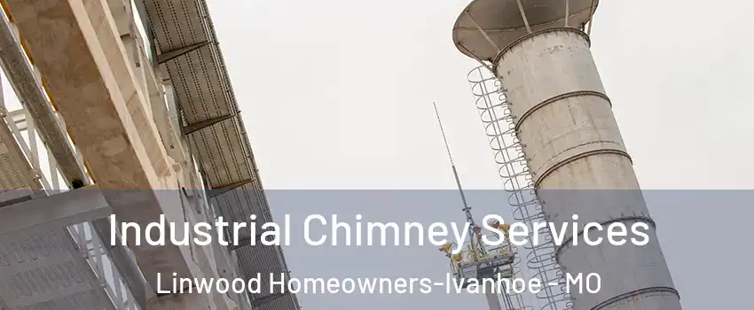 Industrial Chimney Services Linwood Homeowners-Ivanhoe - MO