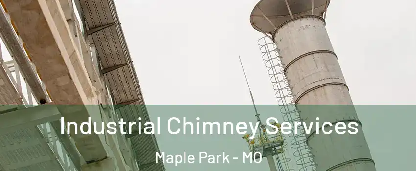 Industrial Chimney Services Maple Park - MO