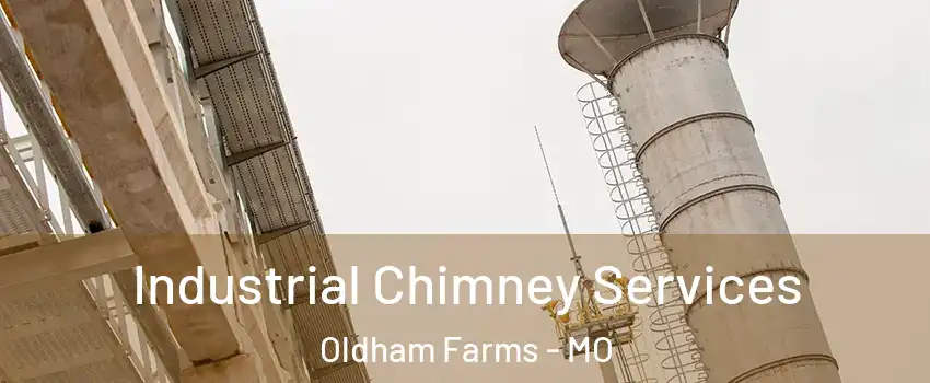 Industrial Chimney Services Oldham Farms - MO