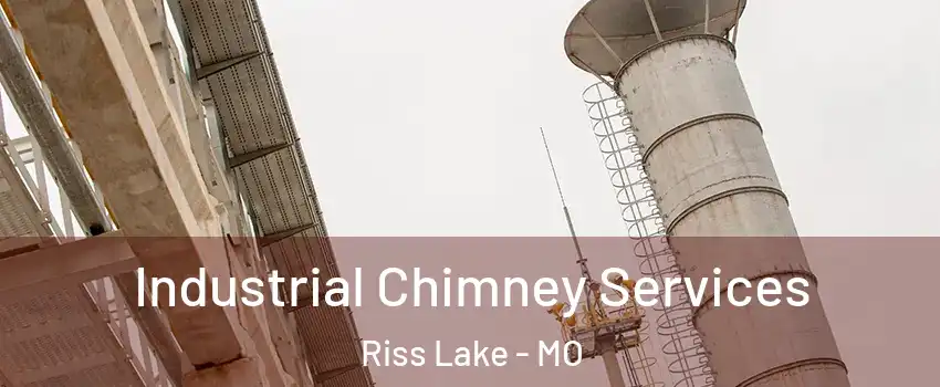 Industrial Chimney Services Riss Lake - MO