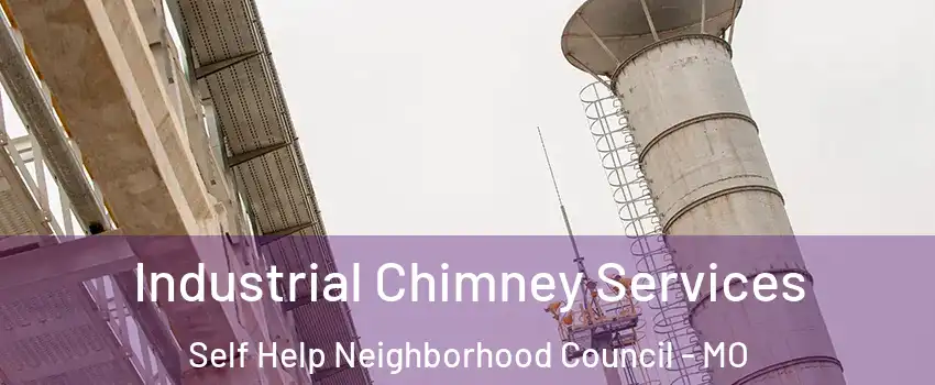 Industrial Chimney Services Self Help Neighborhood Council - MO