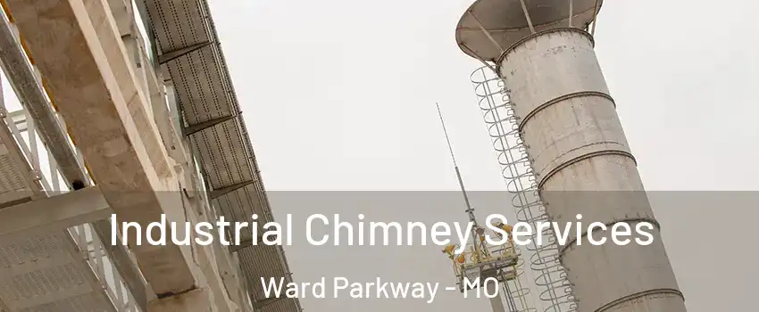 Industrial Chimney Services Ward Parkway - MO
