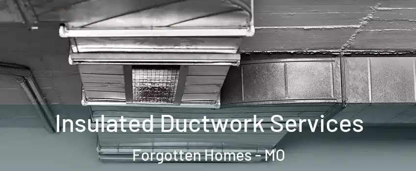 Insulated Ductwork Services Forgotten Homes - MO