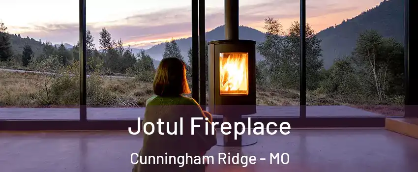 Jotul Fireplace Cunningham Ridge - MO