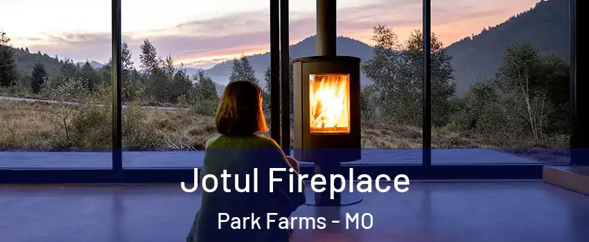 Jotul Fireplace Park Farms - MO