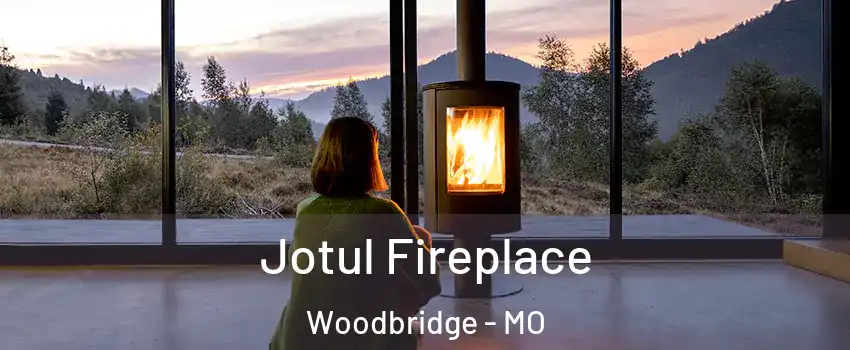 Jotul Fireplace Woodbridge - MO