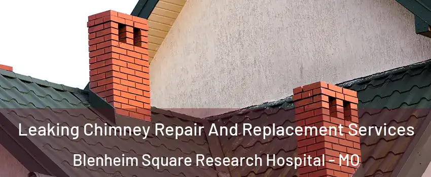 Leaking Chimney Repair And Replacement Services Blenheim Square Research Hospital - MO