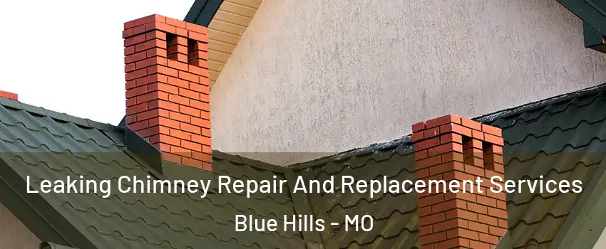 Leaking Chimney Repair And Replacement Services Blue Hills - MO