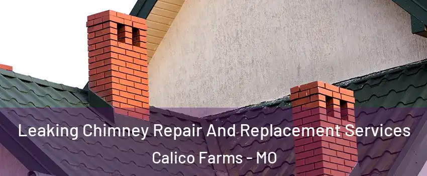 Leaking Chimney Repair And Replacement Services Calico Farms - MO