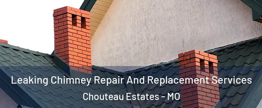 Leaking Chimney Repair And Replacement Services Chouteau Estates - MO