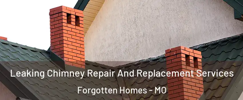 Leaking Chimney Repair And Replacement Services Forgotten Homes - MO