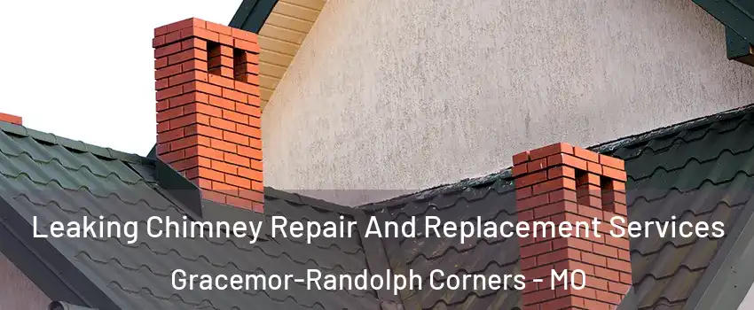 Leaking Chimney Repair And Replacement Services Gracemor-Randolph Corners - MO