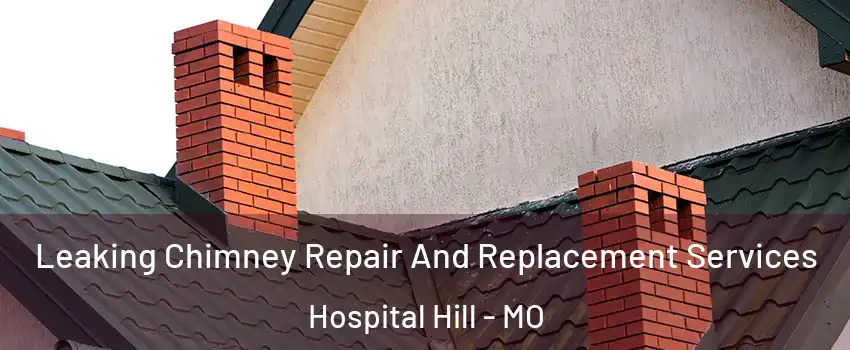 Leaking Chimney Repair And Replacement Services Hospital Hill - MO