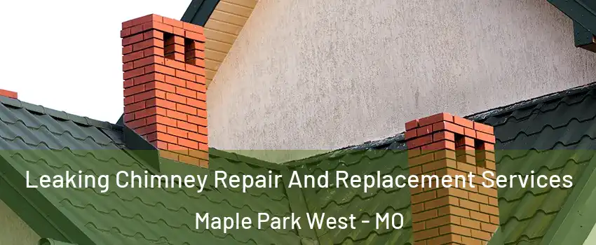 Leaking Chimney Repair And Replacement Services Maple Park West - MO