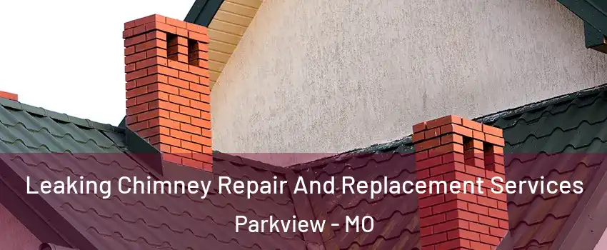 Leaking Chimney Repair And Replacement Services Parkview - MO
