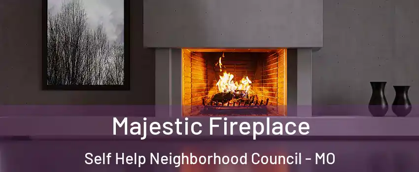 Majestic Fireplace Self Help Neighborhood Council - MO