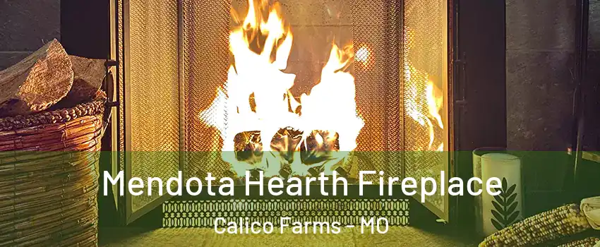 Mendota Hearth Fireplace Calico Farms - MO