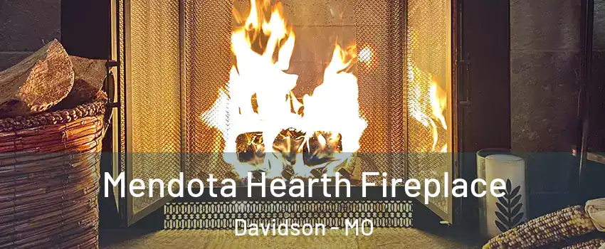 Mendota Hearth Fireplace Davidson - MO