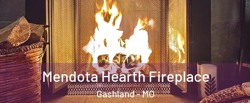 Mendota Hearth Fireplace Gashland - MO