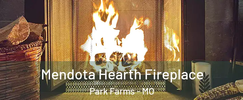 Mendota Hearth Fireplace Park Farms - MO